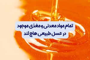 تمام مواد معدنی و مغذی موجود در عسل طبیعی هاچ لند