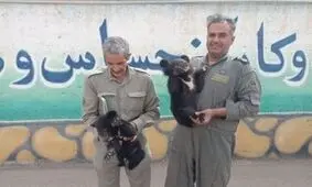 کشف دو توله خرس از یک اتوبوس مسافربری
