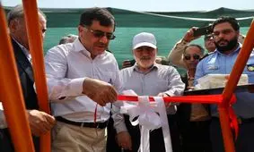 رئیس‌جمهور از تلاش‌ها و اقدامات مؤثر استاندار خوزستان قدردانی کرد