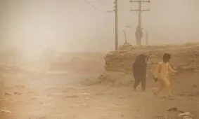 عبور سرعت طوفان گردوخاک سیستان از ۱۰۰ کیلومتر/ ۷۰۹ نفر راهی بیمارستان شدند 