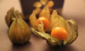 تصاویری از برداشت گران قیمت‌ترین میوه ایران