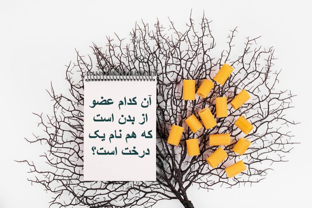 چیستان درخت و عضو بدن