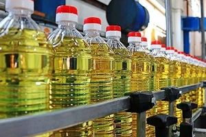 افزایش قیمت کالاهای اساسی ممنوع است