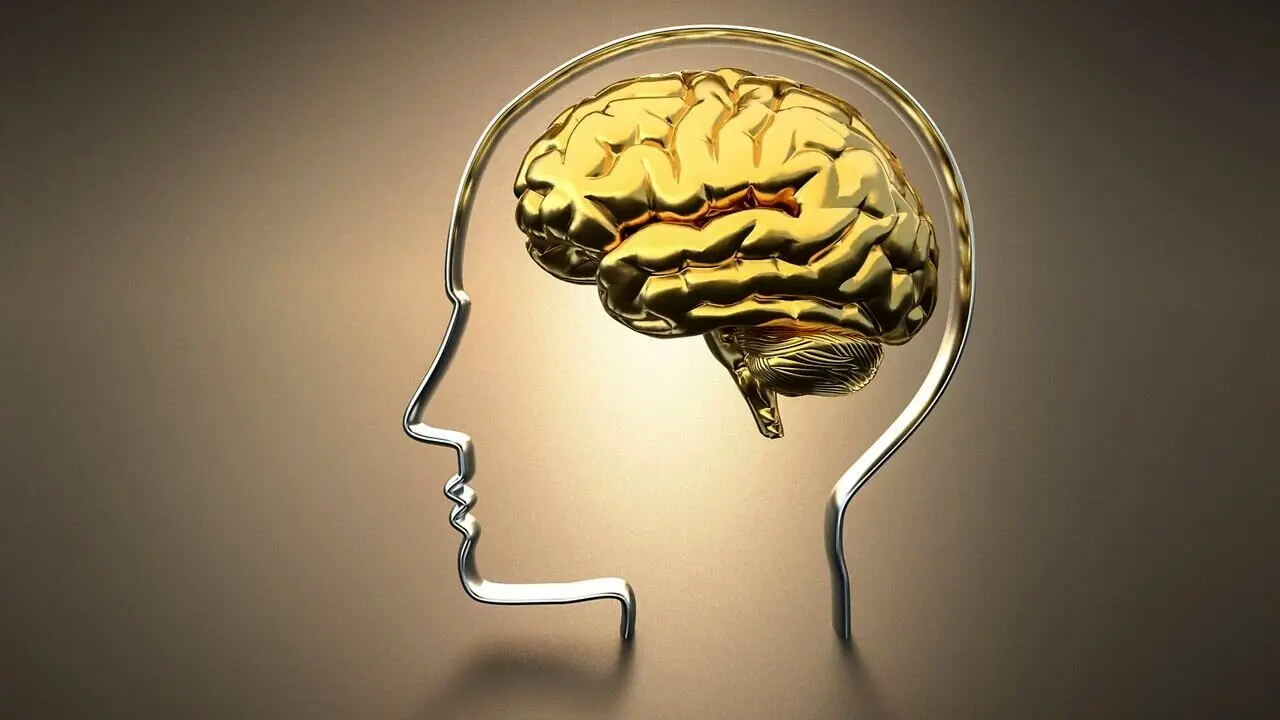 کمبود این ویتامین‌ها باعث کاهش حافظه می‌شود/ موثرترین راه پیشگیری از ضعف حافظه