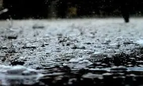 هنگام باران اسیدی چه کارهای عملی انجام دهیم؟/ اینفوگرافیک