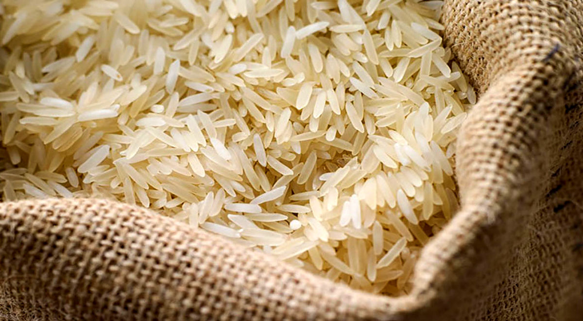 واردات برنج مشروط شد