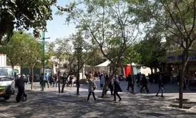 سرنوشت تلخ آخرین چنار سبزه میدان بازار تهران در دوره رضاخان