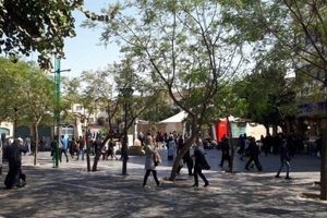 سرنوشت تلخ آخرین چنار سبزه میدان بازار تهران در دوره رضاخان