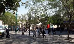 سرنوشت تلخ آخرین چنار سبزه میدان بازار تهران در دوره رضاخان