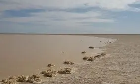 هامون دارد جان می‌دهد!