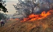 وقوع آتش سوزی در بیش از ۱۳ هکتار از عرصه های جنگلی گیلان

