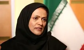 انتقاد رسانه نزدیک به جبهه پایداری از حجاب معاون سازمان ملی استاندارد در یک اجلاس جهانی/ عکس