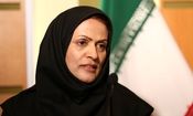 انتقاد رسانه نزدیک به جبهه پایداری از حجاب معاون سازمان ملی استاندارد در یک اجلاس جهانی/ عکس