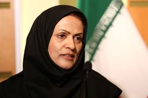 انتقاد رسانه نزدیک به جبهه پایداری از حجاب معاون سازمان ملی استاندارد در یک اجلاس جهانی/ عکس