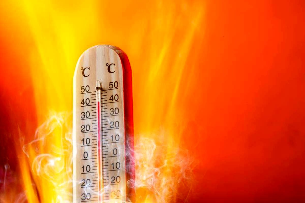 مدیرعامل توانیر: گرم‌ترین تابستان در راه است