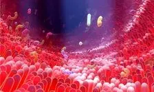 ماده مغذی رایجی که روده‌های ما را به کارخانه‌های شیمیایی مبارزه با دیابت تبدیل می‌کند