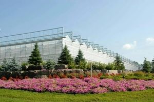 تصاویری از بزرگترین گلخانه جهان در ایران