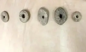 کشف روش‌های ماهی‌گیری متعلق به ۱۲ هزار سال قبل