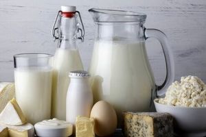لبنیات غیرپاستوریزه؛ عامل پنهان بیماری های خطرناک مشترک انسان و حیوان