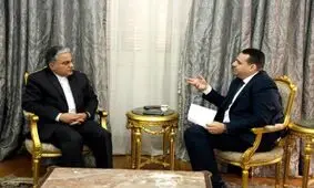 فردوسی‌پور: تصمیم تبادل سفیر بین تهران و قاهره گرفته شده است
