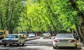 نمایی از خیابان شریعتی فعلی، وقتی خاکی بود/ عکس