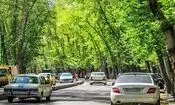 نمایی از خیابان شریعتی فعلی، وقتی خاکی بود/ عکس