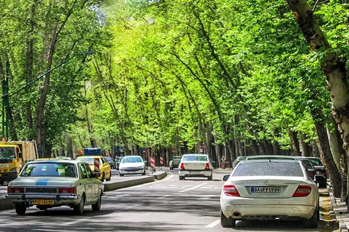نمایی از خیابان شریعتی فعلی، وقتی خاکی بود/ عکس