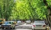 نمایی از خیابان شریعتی فعلی، وقتی خاکی بود/ عکس