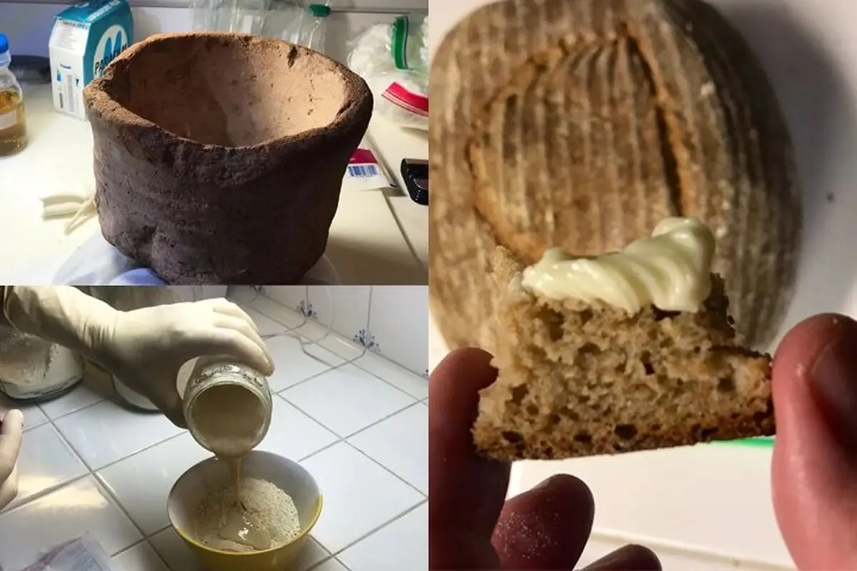 دانستنی‌هایی جالب درباره خمیر ترش
