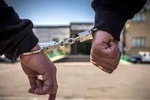 دستگیری ۲ عنصر گروهک نفاق در همدان