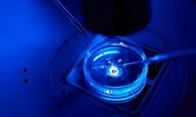 اولین «قرص بارداری» ساخته شد

