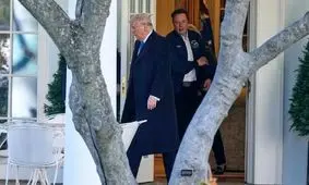 میلیاردر علیه «انقلاب اقتصادی»؛ ماسک از ترامپ خواست تعرفه‌ها را لغو کند