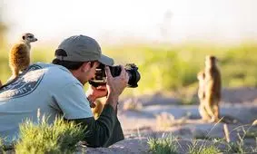 تصویر نامرئی‌ ترین حیوان دنیا شکار شد
