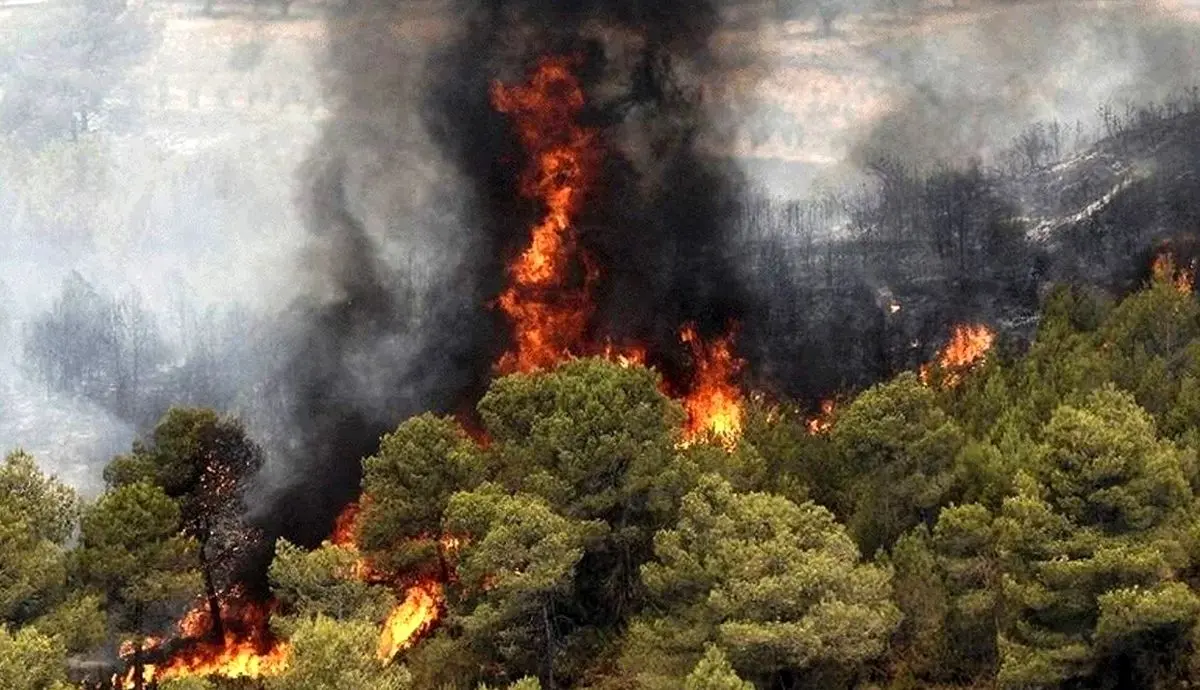 هشدار تیزنگر: افزایش شدید احتمال آتش‌سوزی در جنگل‌های هیرکانی