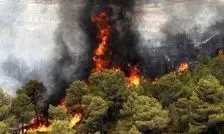 هشدار تیزنگر: افزایش شدید احتمال آتش‌سوزی در جنگل‌های هیرکانی