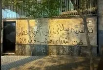 «این آخرین اخطاره»؛ تهدید روی دیوار | ماجرای شعارنویسی روی دیوار خانه رضا کیانیان و تهمینه میلانی چیست؟