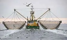 مجوز صید ترال نمونه‌ کوچکی از شبکه‌ فساد در سازمان شیلات است