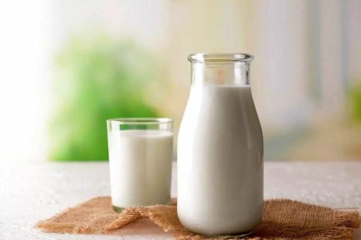 چند تصور غلط درباره شیر که باید آنها را کنار بگذاریم