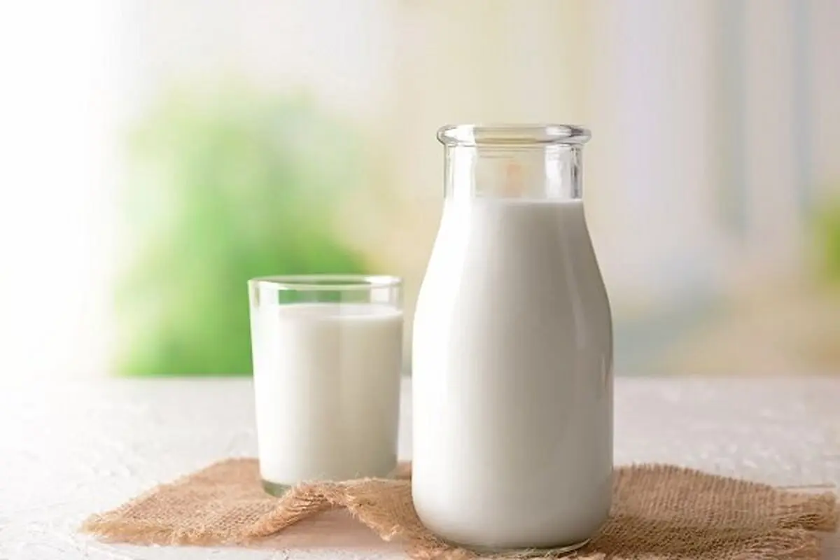چند تصور غلط درباره شیر که باید آنها را کنار بگذاریم