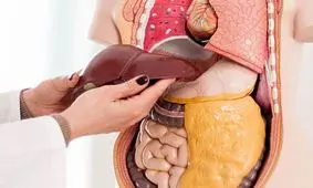 چطور کبدتان چرب می‌شود و چگونه می‌توانید آن را درمان کنید؟