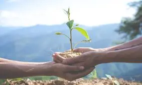 پنج شیوه رایج فساد زیست محیطی
