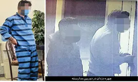 مرد سیندرلایی، سارق خانه مجیدی