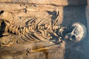 کشف قدیمی‌ترین دی‌ان‌ای طاعون متعلق به ۴ هزار سال پیش در بریتانیا