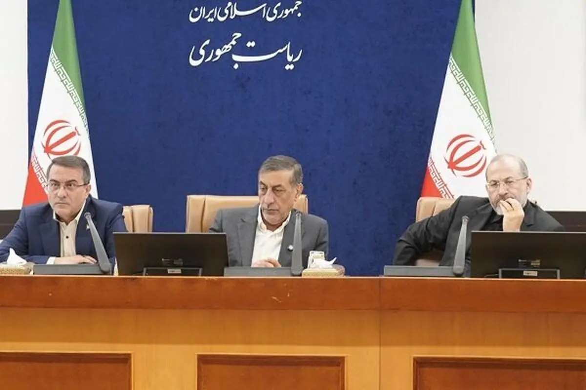 قائم‌پناه: نظام پرداخت مبتنی بر عملکرد علاج کسری بودجه است
