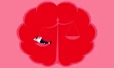 کشف ریشه‌های عصب‌شناختی بی‌انگیزگی؛ چرا مغز می‌گوید «حوصله ندارم»

