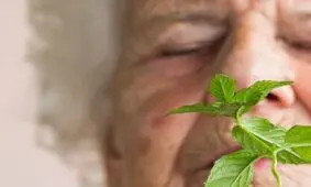 بوی نعنا می تواند به درمان آلزایمر کمک کند