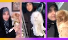 انتقاد استاد حوزه علمیه از افزایش زنان باحجابی که از سگ نگهداری می کنند