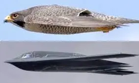 شگفت انگیز اما واقعی: نفس کشیدن در سرعت مرگبار ۳۲۰ کیلومتر در ساعت!