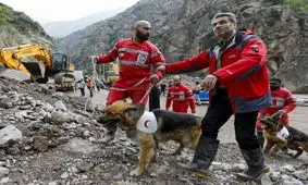 ۳ مفقودی در سیل چالوس/ امدادرسانی ادامه دارد

