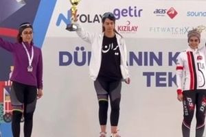 واکنش نیلوفر مردانی به تصویر بی حجابش در ترکیه

